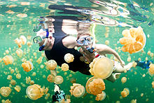 美媒评明年最值得旅游胜地