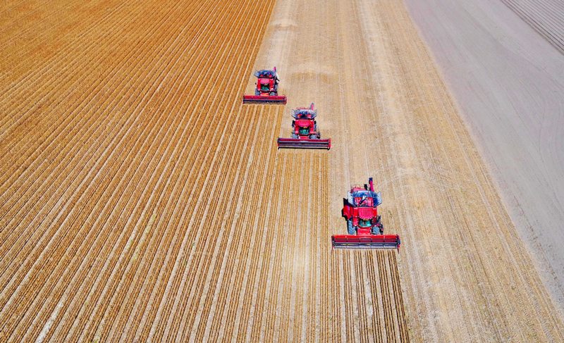 黑龍江糧食&ldquo;十七連豐&rdquo;